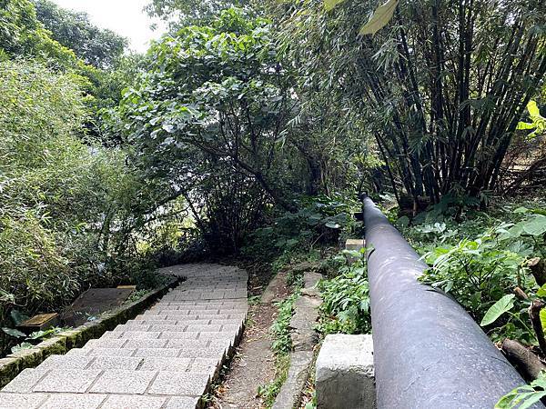 IMG_5768.jpg IMG_5768.jpg