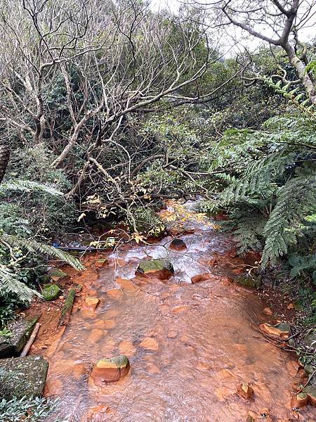 IMG_5793.jpg IMG_5793.jpg