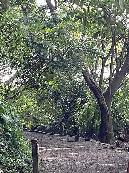 IMG_5798.jpg IMG_5798.jpg