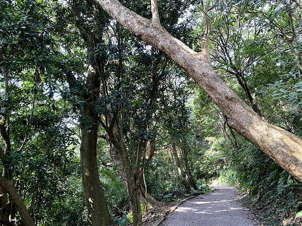 IMG_5786.jpg IMG_5786.jpg