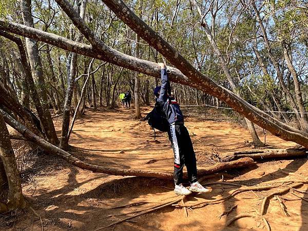 IMG_5429.jpg IMG_5429.jpg