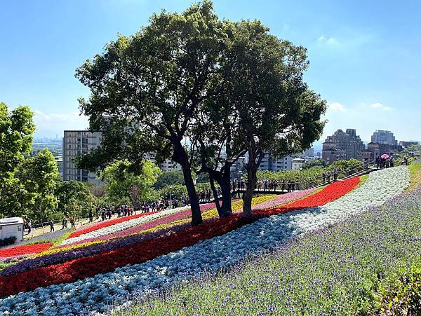 IMG_6622.jpg IMG_6622.jpg