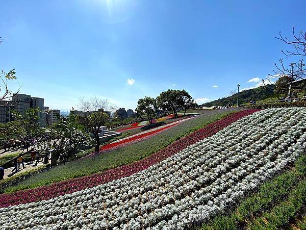 IMG_6581.jpg IMG_6581.jpg