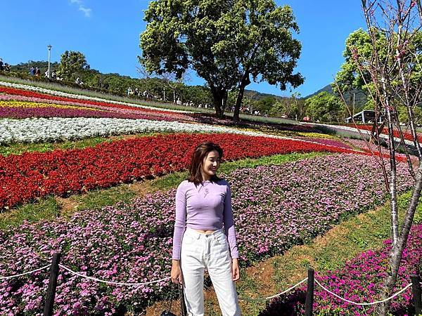 IMG_6686.jpg IMG_6686.jpg