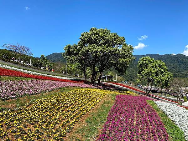 IMG_6645.jpg IMG_6645.jpg