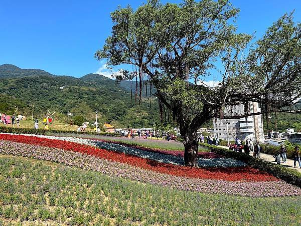 IMG_6575.jpg IMG_6575.jpg