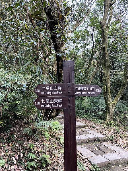 IMG_5171.jpg IMG_5171.jpg