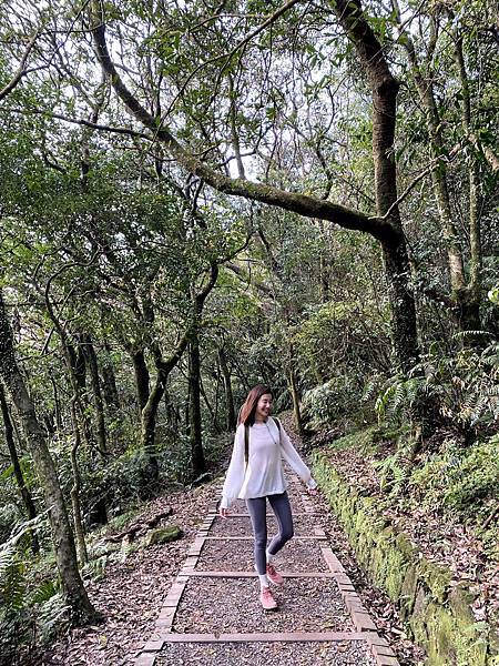 IMG_5175.jpg IMG_5175.jpg