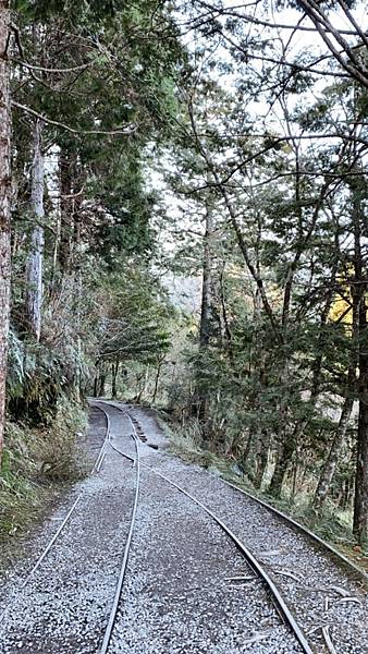 92204E6D-22C5-4B5D-AA53-73A05B43529A.jpg 92204E6D-22C5-4B5D-AA53-73A05B43529A.jpg