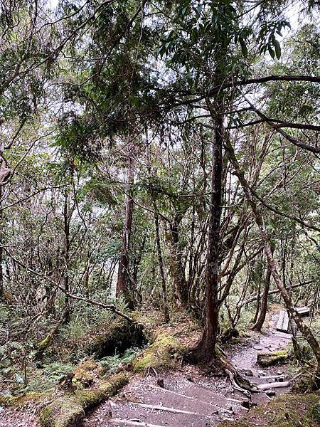 IMG_6176.jpg IMG_6176.jpg