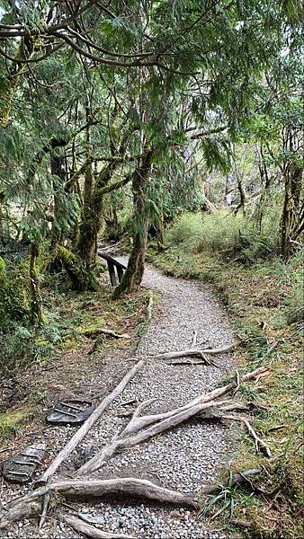 FC07EDE9-9D74-4404-8C30-B4A1CACBC70F.jpg FC07EDE9-9D74-4404-8C30-B4A1CACBC70F.jpg