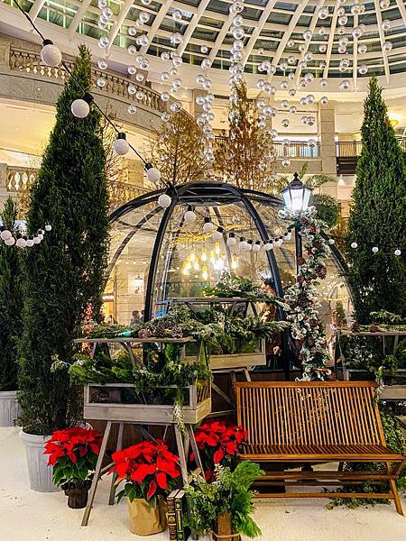 IMG_3495.jpg IMG_3495.jpg