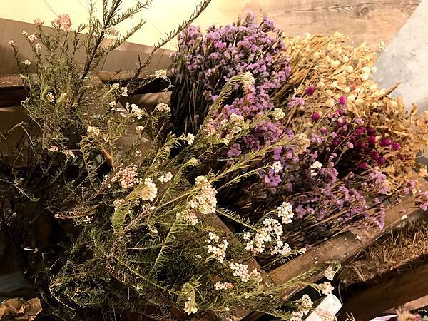 IMG_8984.jpg IMG_8984.jpg