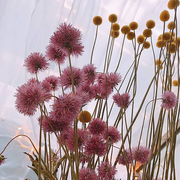 IMG_2063.JPG IMG_2063.JPG