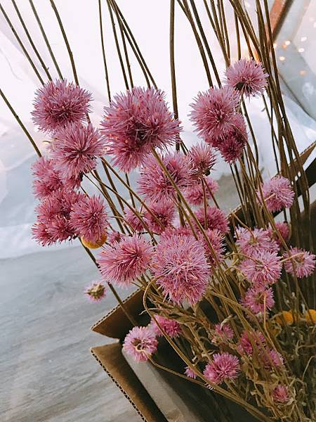 IMG_2061.JPG IMG_2061.JPG