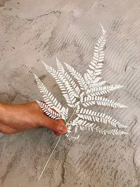 IMG_2031.JPG IMG_2031.JPG