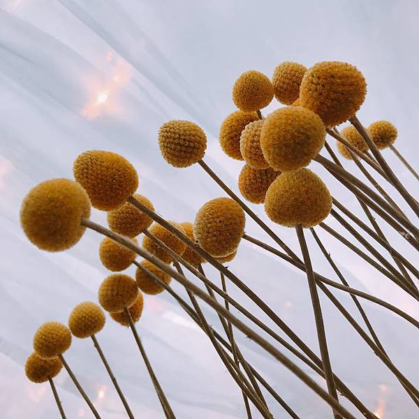 IMG_2062.JPG IMG_2062.JPG