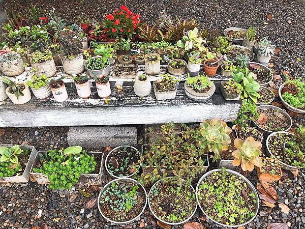 IMG_9438.JPG IMG_9438.JPG