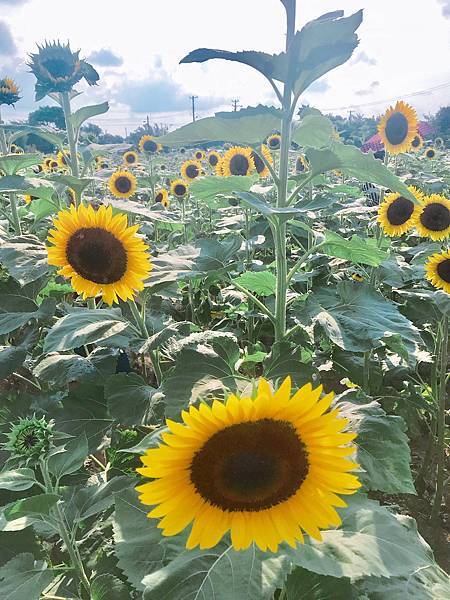 IMG_6342.JPG IMG_6342.JPG