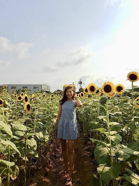 IMG_6365.JPG IMG_6365.JPG