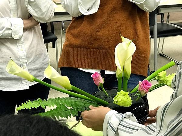 IMG_2966.jpg IMG_2966.jpg