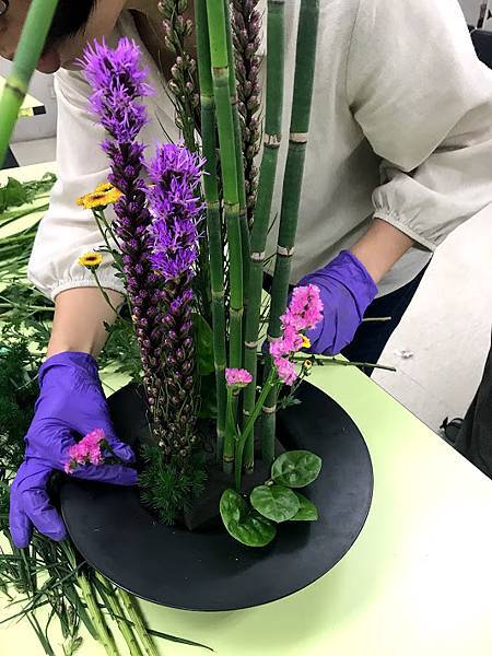 IMG_3120.jpg IMG_3120.jpg