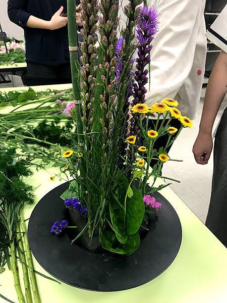 IMG_3125.jpg IMG_3125.jpg