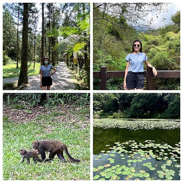 未命名拼圖.jpg 未命名拼圖.jpg