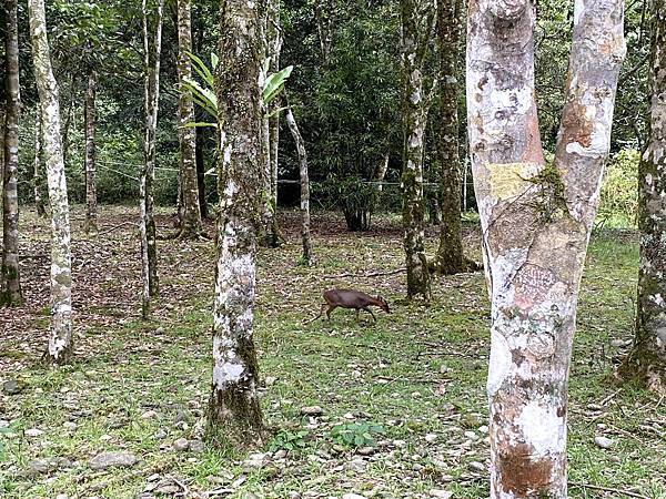 IMG_5256.jpg IMG_5256.jpg