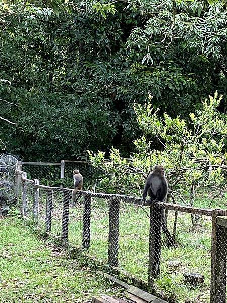 IMG_5269.jpg IMG_5269.jpg