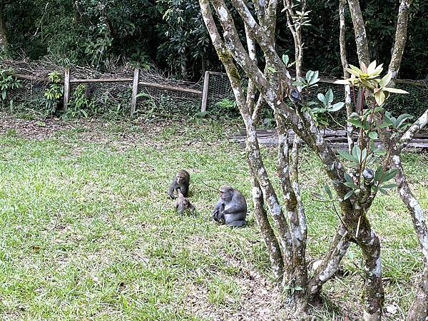 IMG_2300.jpg IMG_2300.jpg