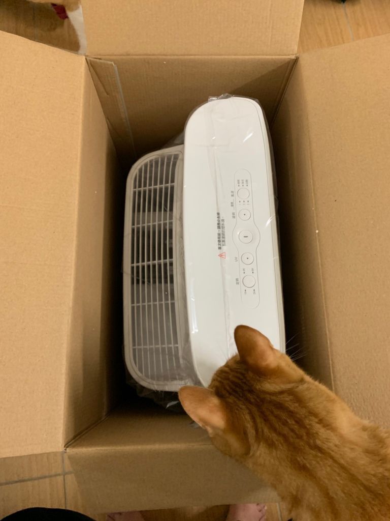 2019526_190527_0015.jpg 試用