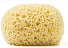 0.png 0.png