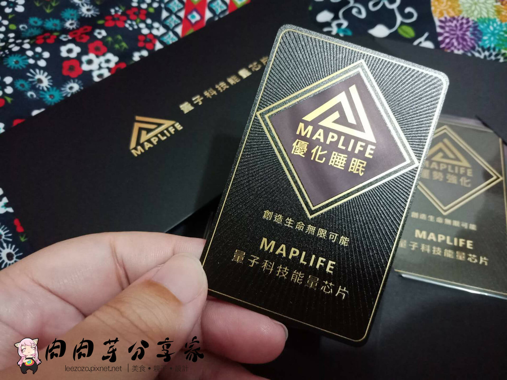 maplife科技改運 (3).jpg