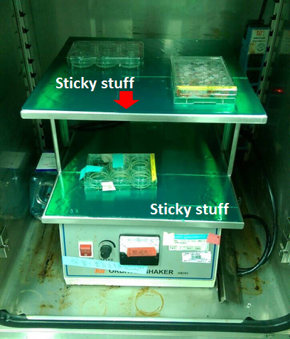 黏貼板 sticky stuff 震盪機 shaker.png