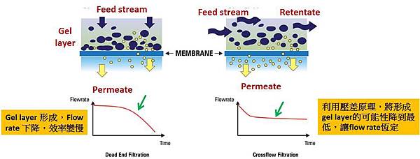 Cross flow filtration 切向過濾與 Dead End filtration .jpg