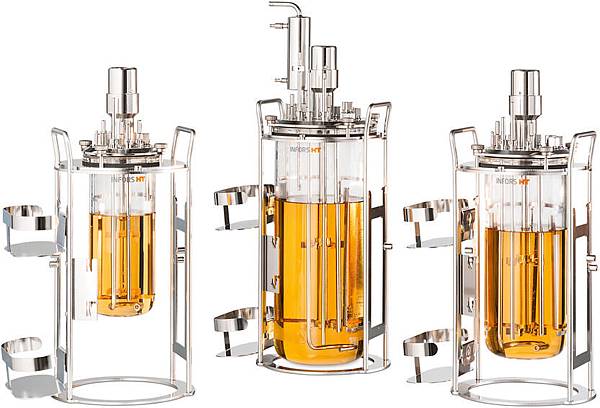 0.5L 1.5L 6L Minifors 2.jpg 0.5L 1.5L 6L Minifors 2.jpg