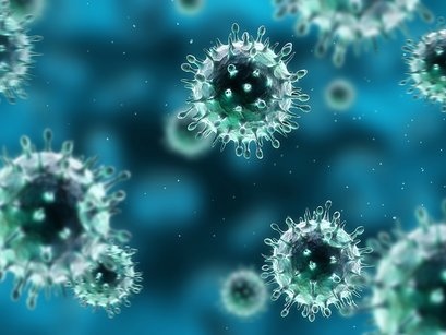 Adenovirus 腺病毒.jpg Adenovirus 腺病毒.jpg