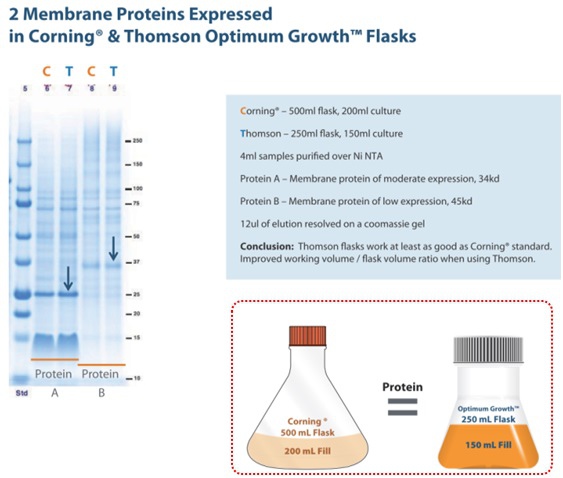 Thomson Flask-05.jpg Thomson Flask-05.jpg