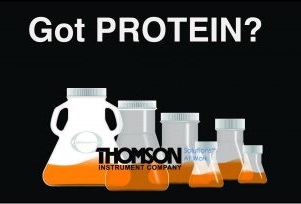 Thomson Flask-08.jpg Thomson Flask-08.jpg
