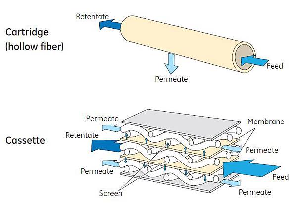 Configuration of hollow fiber cartridges and flat sheet cassettes.JPG Configuration of hollow fiber cartridges and flat sheet cassettes.JPG