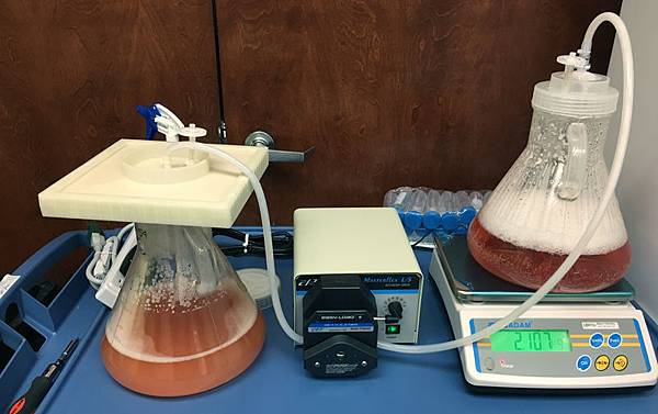 Rapid clear cap faster CHO HEK.jpg