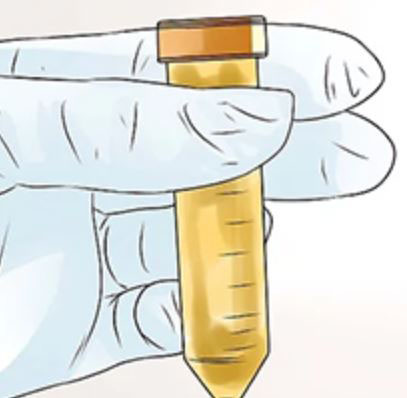 centrifuge tube cartoon.JPG