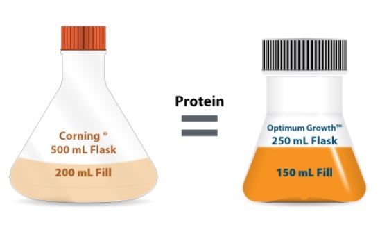 corning flask vs thomson optium growth flask.JPG