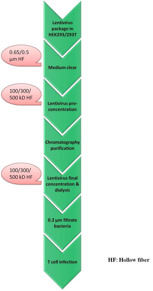 CAR-T process 2.jpg CAR-T process 2.jpg