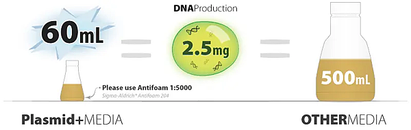 plasmid-DNA-production.png