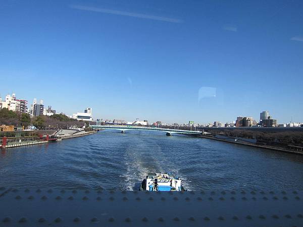 sky tree (3)