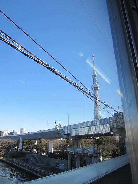 sky tree (4)