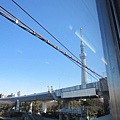 sky tree (4)