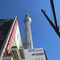 sky tree (5)